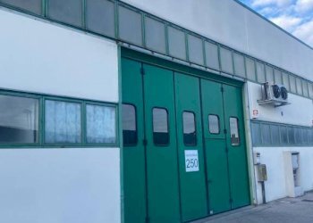 Facciata - Capannone strada Feltrina, 268, Treviso - foto 1