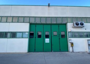 Zona - Capannone strada Feltrina, 268, Treviso - foto 7