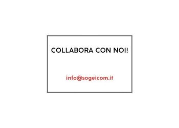 Planimetria - Shop via Lucchese, Sesto Fiorentino - photo 15