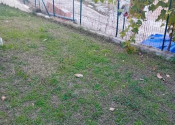 20251105_154013.jpg - Casa indipendente Via Europa 5, San Martino sulla Marrucina - foto 28