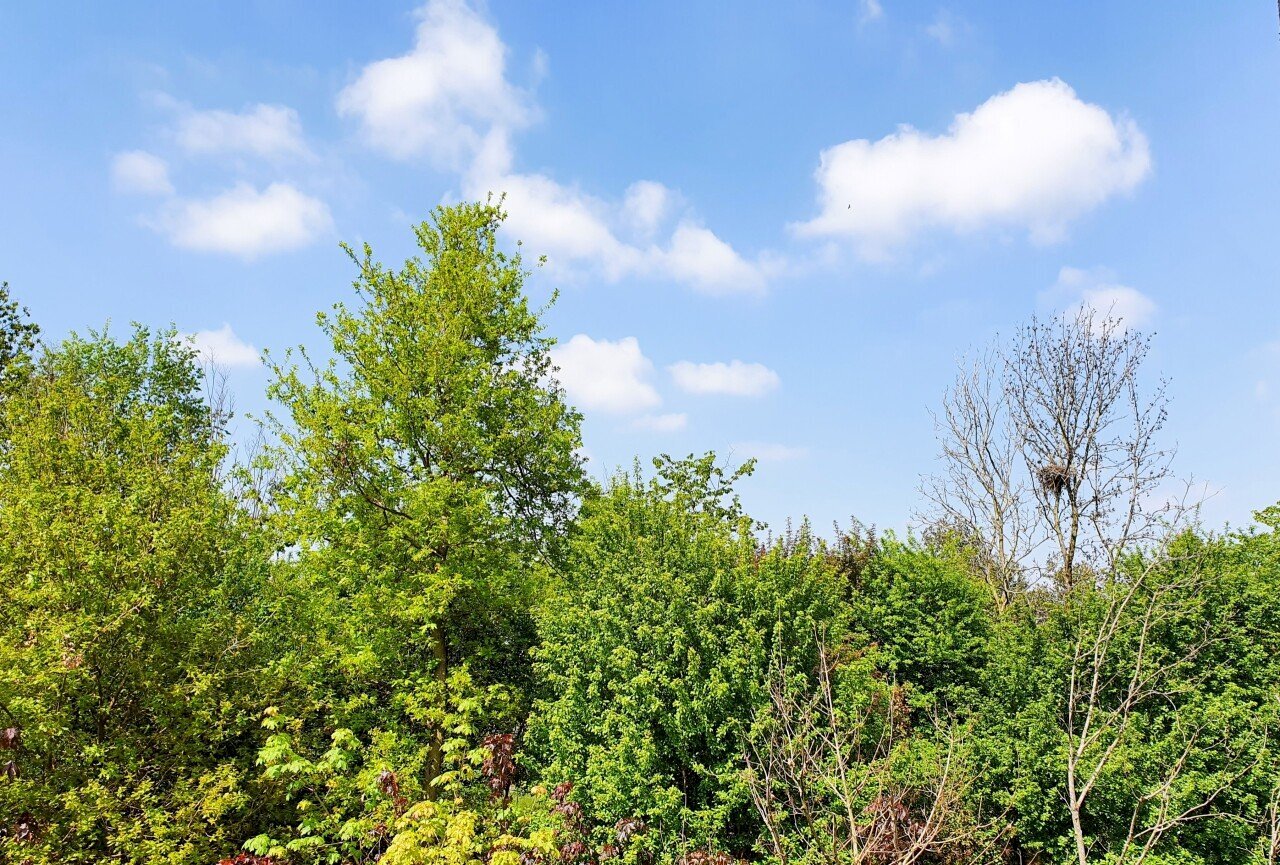 20220427_112645.jpg - Four-room apartment MONTE NETTO, Poncarale - photo 3