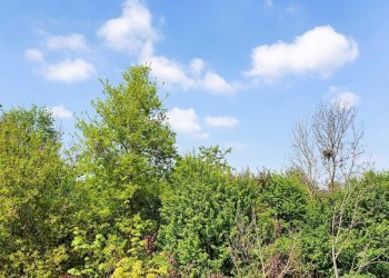 20220427_112645.jpg - Quadrilocale MONTE NETTO, Poncarale - foto 3