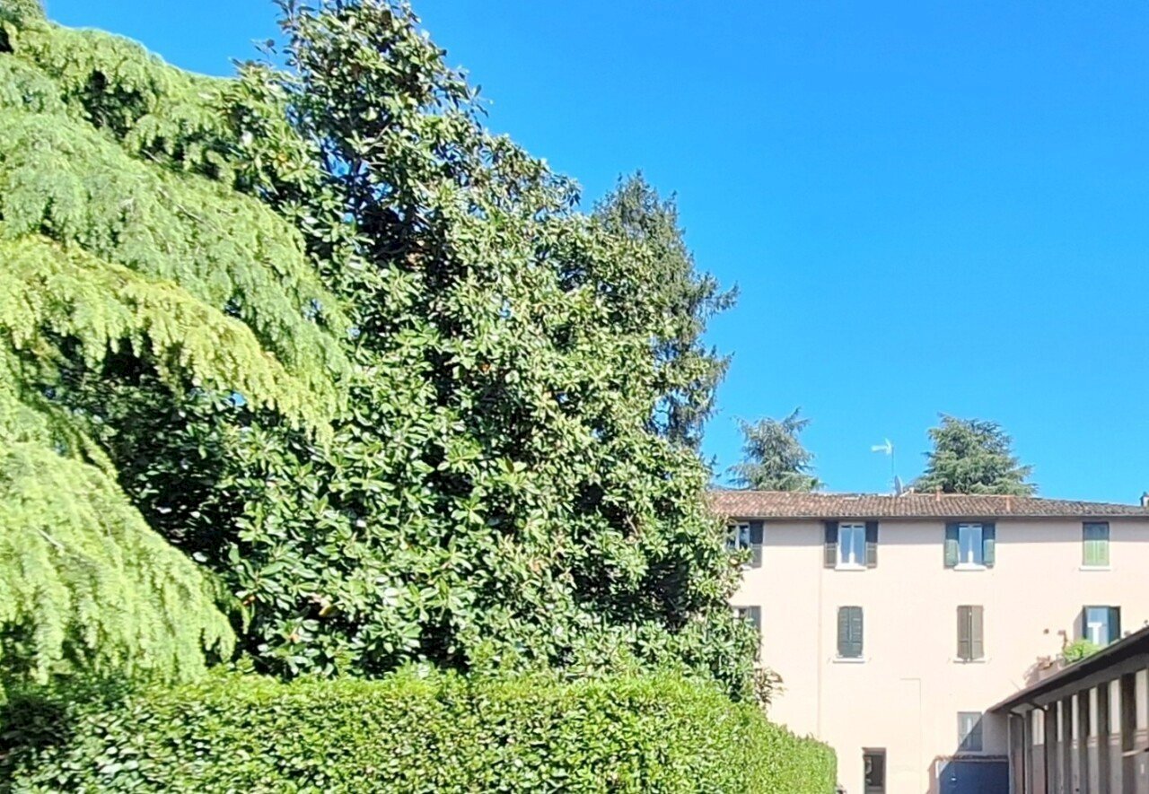 20250423_161058.jpg - Quadrilocale Brescia - foto 1