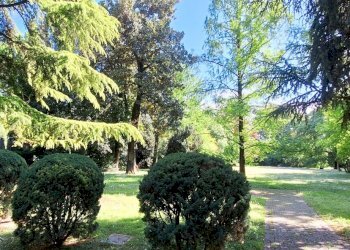 20250423_160815.jpg - Quadrilocale Brescia - foto 2