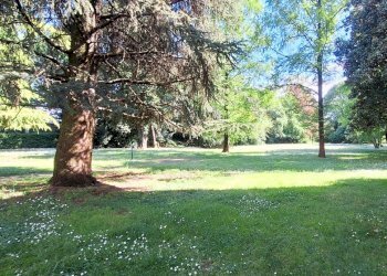 20250423_160827.jpg - Quadrilocale Brescia - foto 7