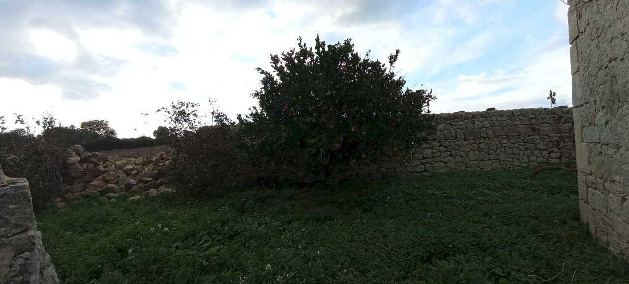 IMG_20251111_151756.jpg - Casale Ragusa - foto 3