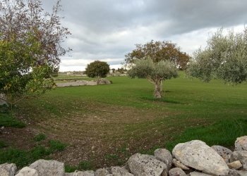 IMG_20251111_151855.jpg - Casale Ragusa - foto 1