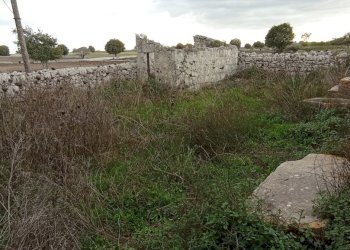 IMG_20251111_151422.jpg - Casale Ragusa - foto 14