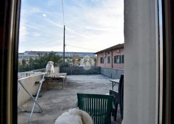 Stable - Palace Strada Statale 525, Inzago - photo 11