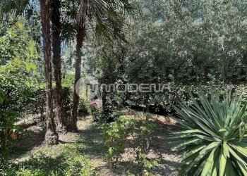 Villa Modena - photo 30