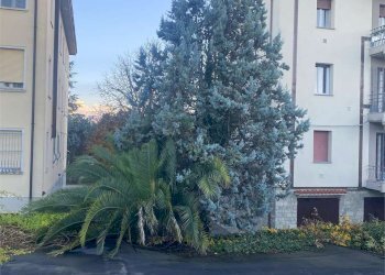 Casa indipendente Modena (zona Buon Pastore - Parco Amendola) - foto 16