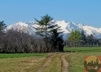 Terreno agricolo Villarbasse - foto 8