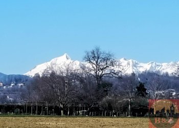 Terreno agricolo Villarbasse - foto 9