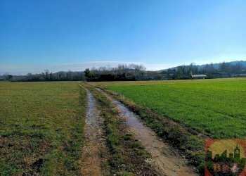 Terreno agricolo Villarbasse - foto 10