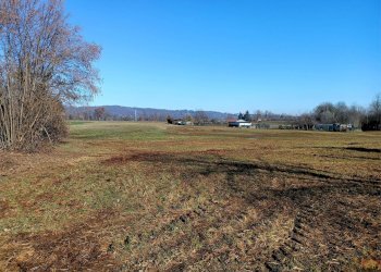 Terreno agricolo Villarbasse - foto 11