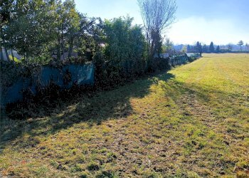 Terreno agricolo Villarbasse - foto 12