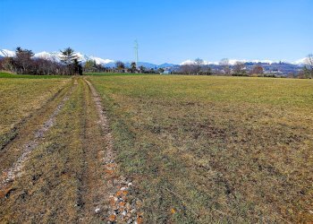 Terreno agricolo Villarbasse - foto 13