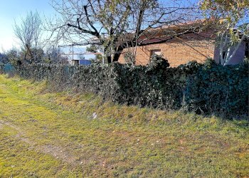 Terreno agricolo Villarbasse - foto 14