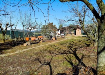 Terreno agricolo Villarbasse - foto 35