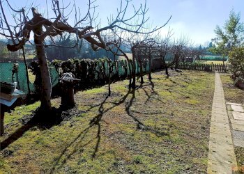 Terreno agricolo Villarbasse - foto 36