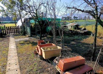 Terreno agricolo Villarbasse - foto 39