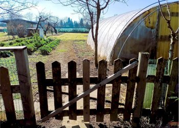 Terreno agricolo Villarbasse - foto 41