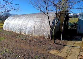 Terreno agricolo Villarbasse - foto 42