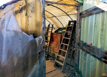 Terreno agricolo Villarbasse - foto 43