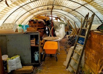 Terreno agricolo Villarbasse - foto 44