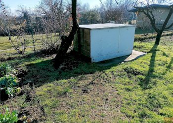 Terreno agricolo Villarbasse - foto 45