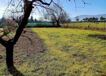 Terreno agricolo Villarbasse - foto 46