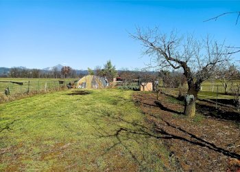 Terreno agricolo Villarbasse - foto 47