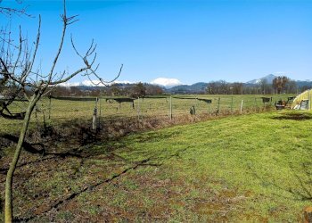 Terreno agricolo Villarbasse - foto 48