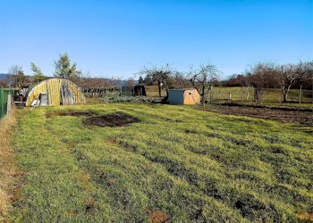 Terreno agricolo Villarbasse - foto 49