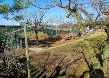 Terreno agricolo Villarbasse - foto 51