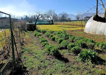 Terreno agricolo Villarbasse - foto 52
