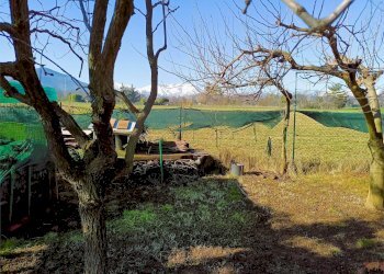 Terreno agricolo Villarbasse - foto 53