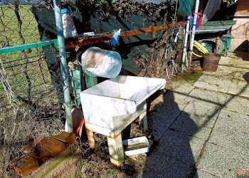 Terreno agricolo Villarbasse - foto 54