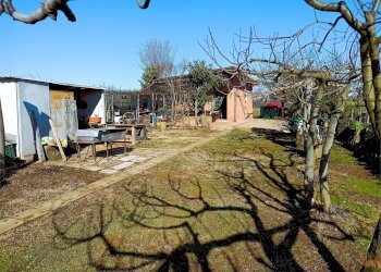 Terreno agricolo Villarbasse - foto 3