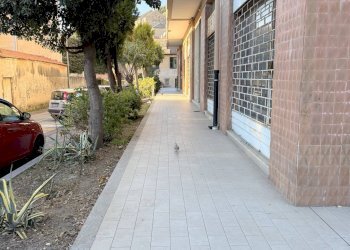 Foto 7 - Commercial Premises Albisola Superiore - photo 7