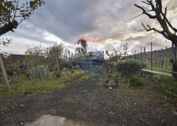 Giardino - Semi-detached house VIa Martiri d'Ungheria
 
22, Milo - photo 6