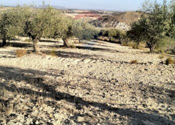 Vista delle montagne - Terreno edificabile cda vignali tre fontane
sn, Licodia Eubea - foto 13