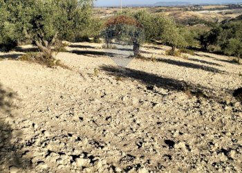 Giardino - Terreno edificabile cda vignali tre fontane
sn, Licodia Eubea - foto 14