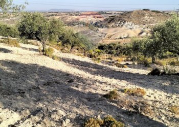 Vista delle montagne - Terreno edificabile cda vignali tre fontane
sn, Licodia Eubea - foto 15