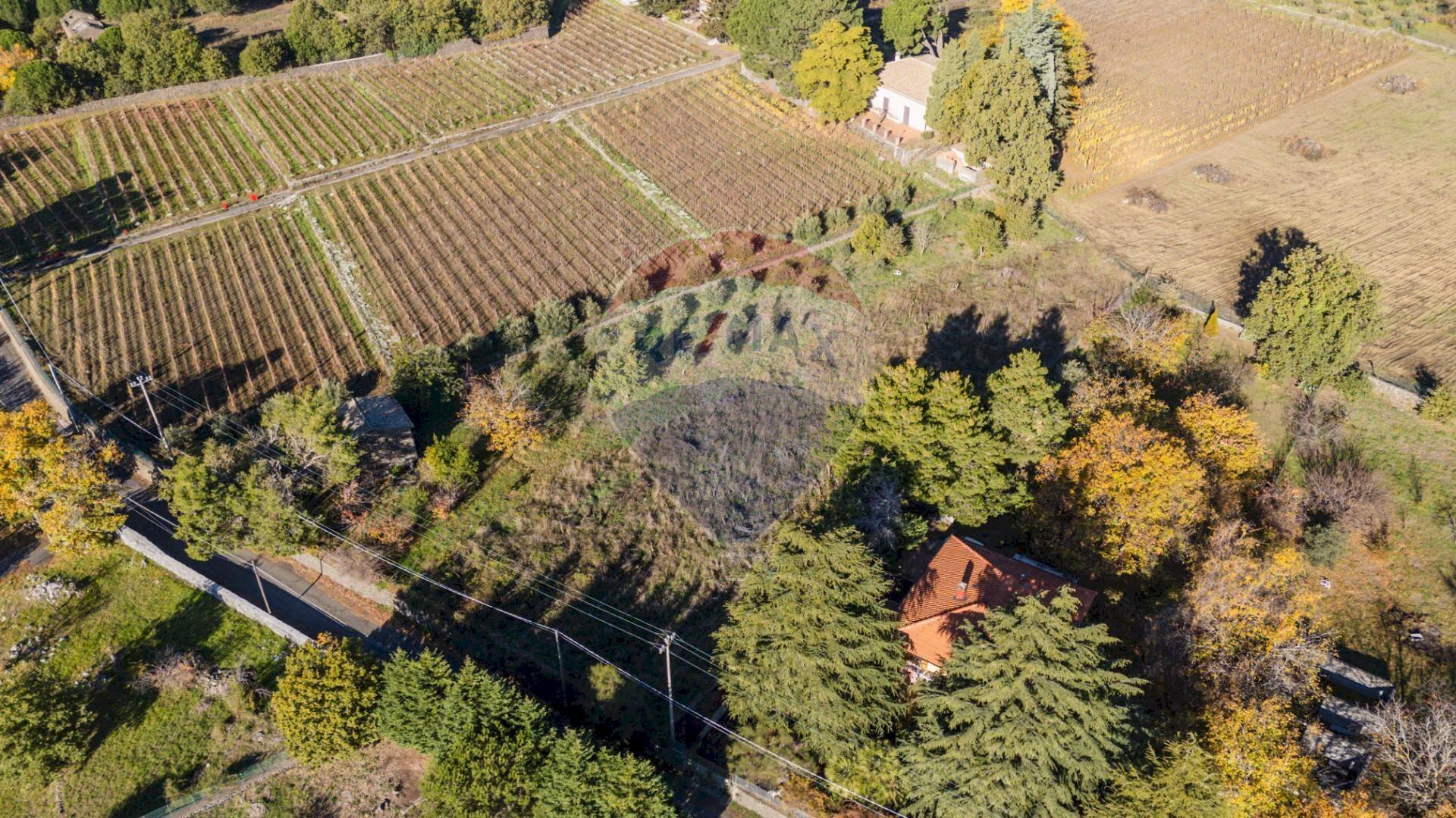 Posizione della mappa - Agricultural land Via Cozzarelli
 
66, Pedara - photo 1