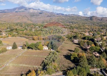Vista delle montagne - Agricultural land Via Cozzarelli
 
66, Pedara - photo 13