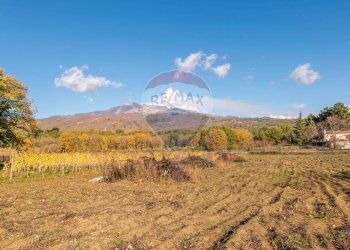 Vista delle montagne - Agricultural land Via Cozzarelli
 
66, Pedara - photo 20