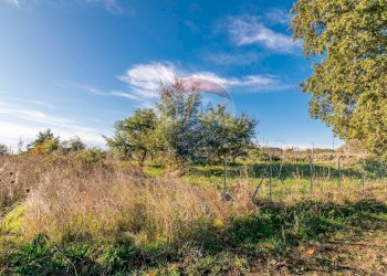 Giardino - Agricultural land Via Cozzarelli
 
66, Pedara - photo 21