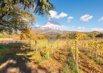 Vista delle montagne - Agricultural land Via Cozzarelli
 
66, Pedara - photo 24