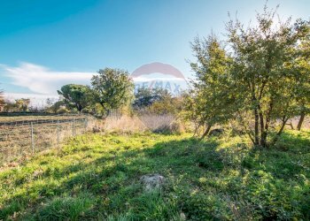 Giardino - Agricultural land Via Cozzarelli
 
66, Pedara - photo 25